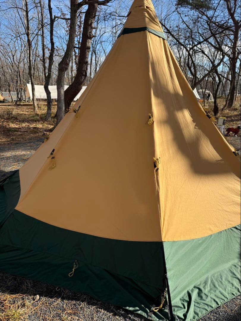 テンティピ ジルコン7CP