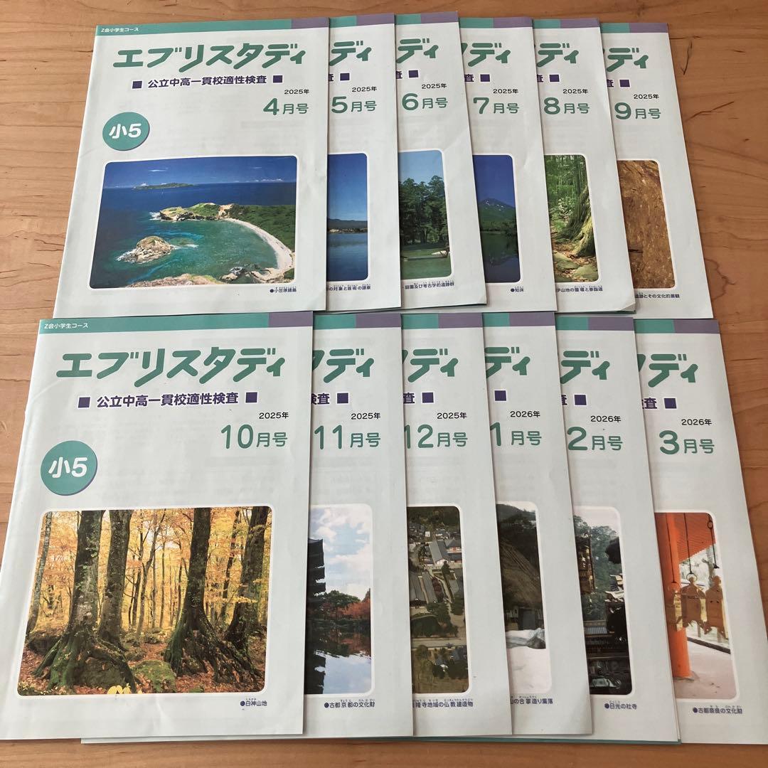 Z会　エブリスタディ 小5 公立中高一貫校適性検査　作文　問題集　中学受験