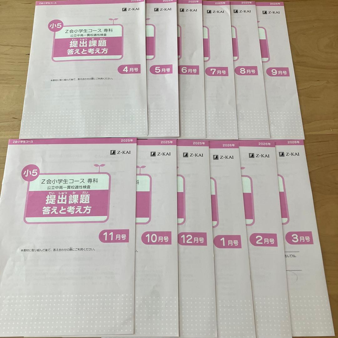 Z会　エブリスタディ 小5 公立中高一貫校適性検査　作文　問題集　中学受験