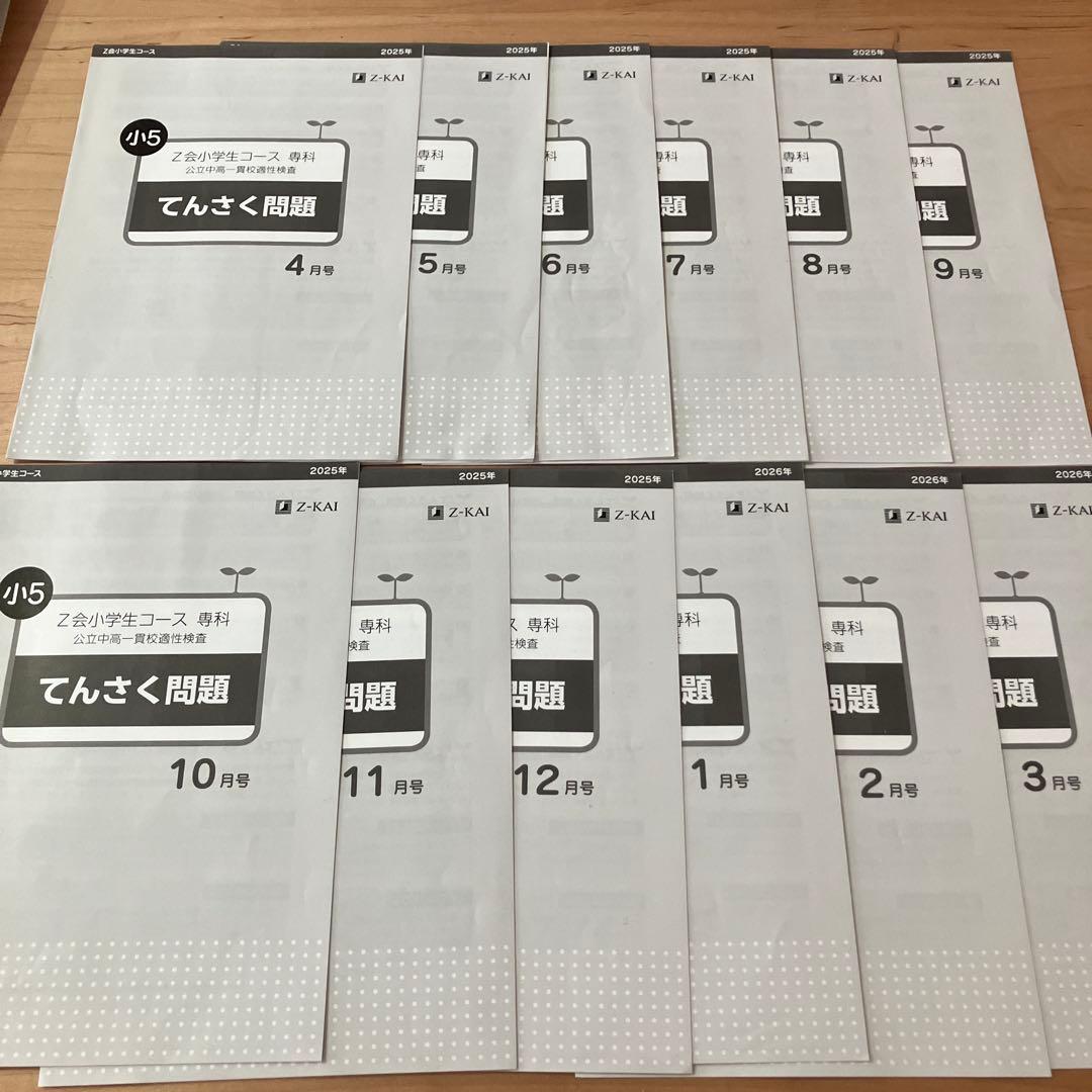 Z会　エブリスタディ 小5 公立中高一貫校適性検査　作文　問題集　中学受験