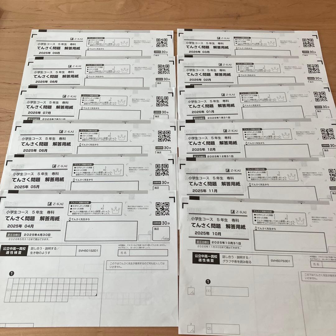 Z会　エブリスタディ 小5 公立中高一貫校適性検査　作文　問題集　中学受験