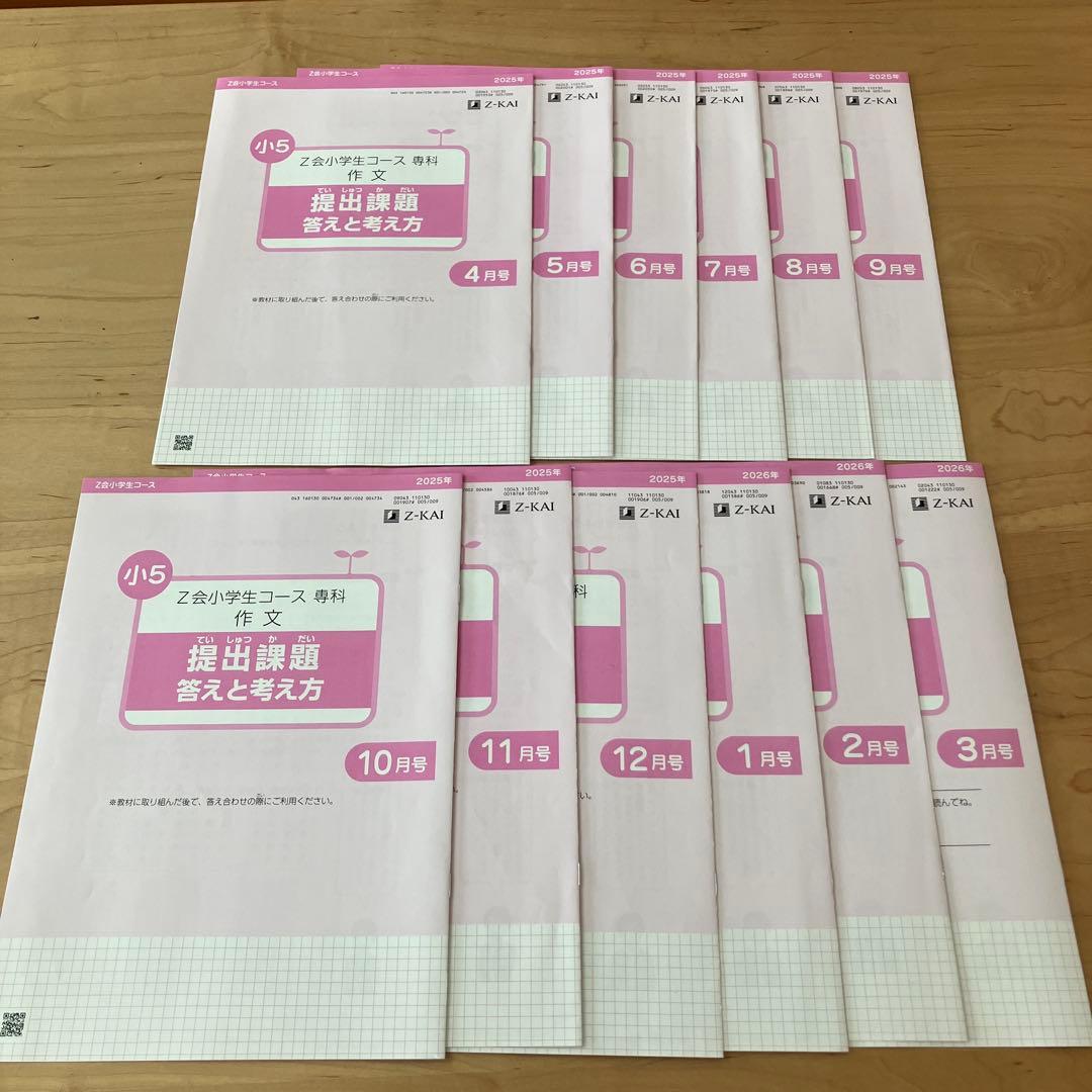 Z会　エブリスタディ 小5 公立中高一貫校適性検査　作文　問題集　中学受験