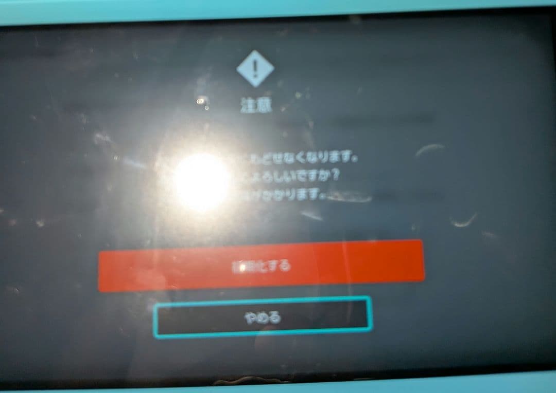 Switch スイッチ ライト Lite ターコイズ 充電器 SDカード 付き