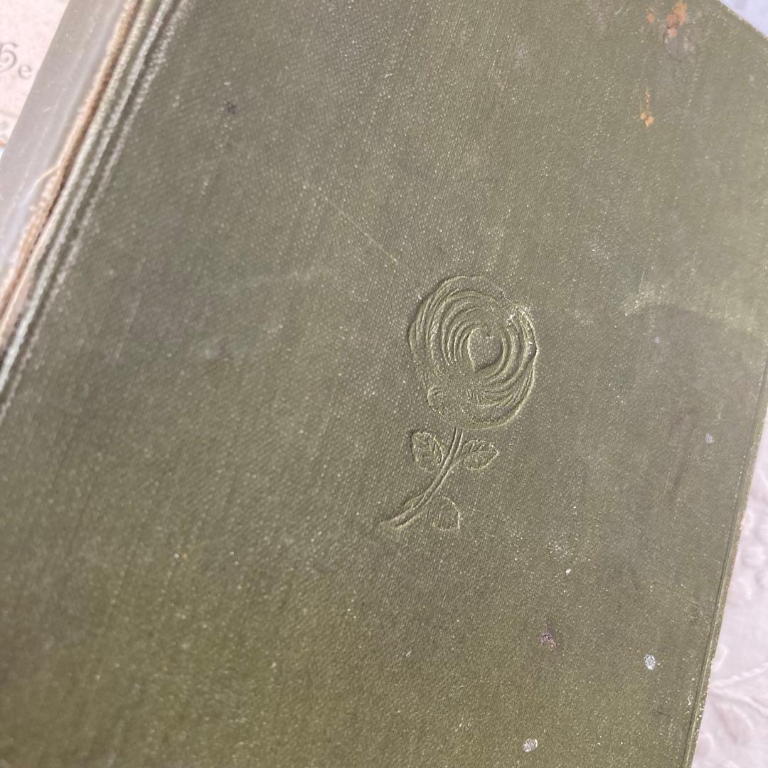 L932 洋書古書　1925年発行　繊細な植物画が美しいアンティーク植物図鑑