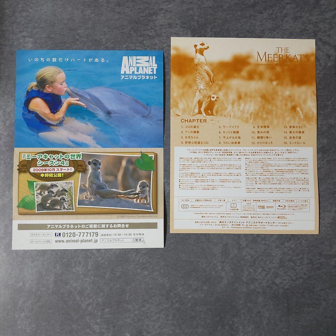 【廃盤】ドキュメンタリー映画Blu-ray(セル版)『ミーアキャット』中古品