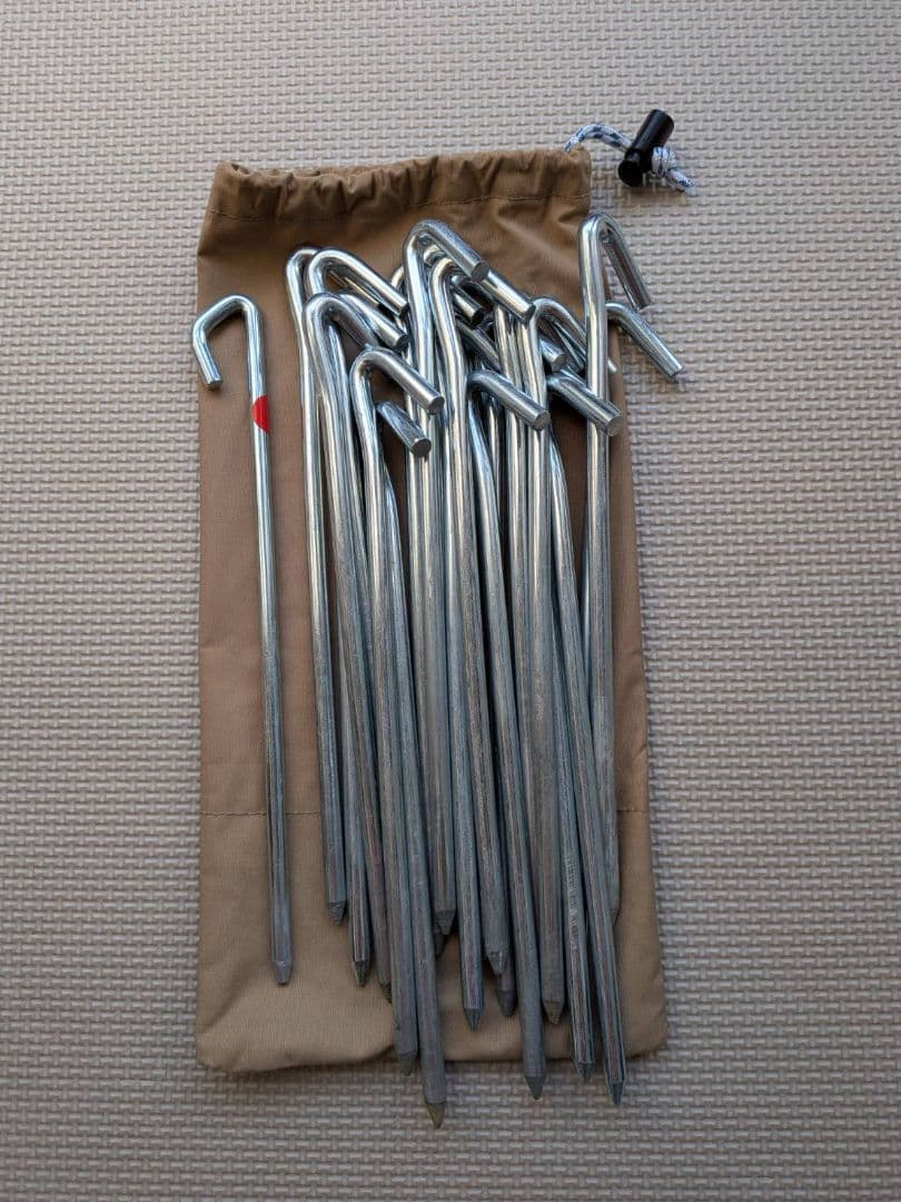 【手渡し限定】テンマクデザイン サーカスTC BIG