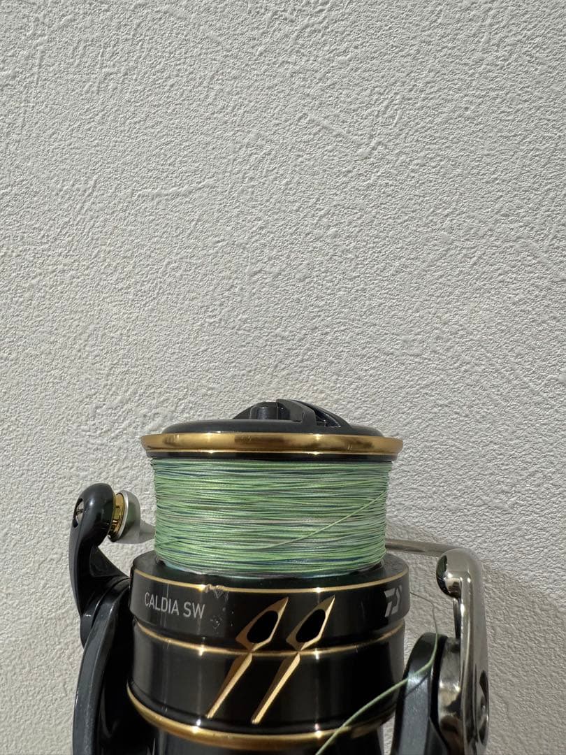 【即購入可即日発送】CALDIA SW 5000-CXH スピニングリール