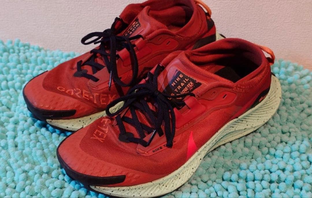 28.0cm ナイキ ペガサストレイル3 ゴアテックス GTX