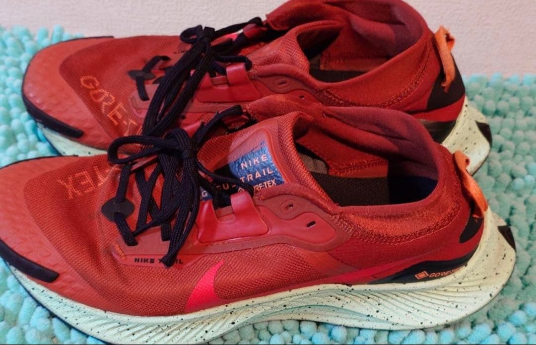 28.0cm ナイキ ペガサストレイル3 ゴアテックス GTX