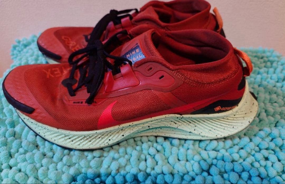 28.0cm ナイキ ペガサストレイル3 ゴアテックス GTX