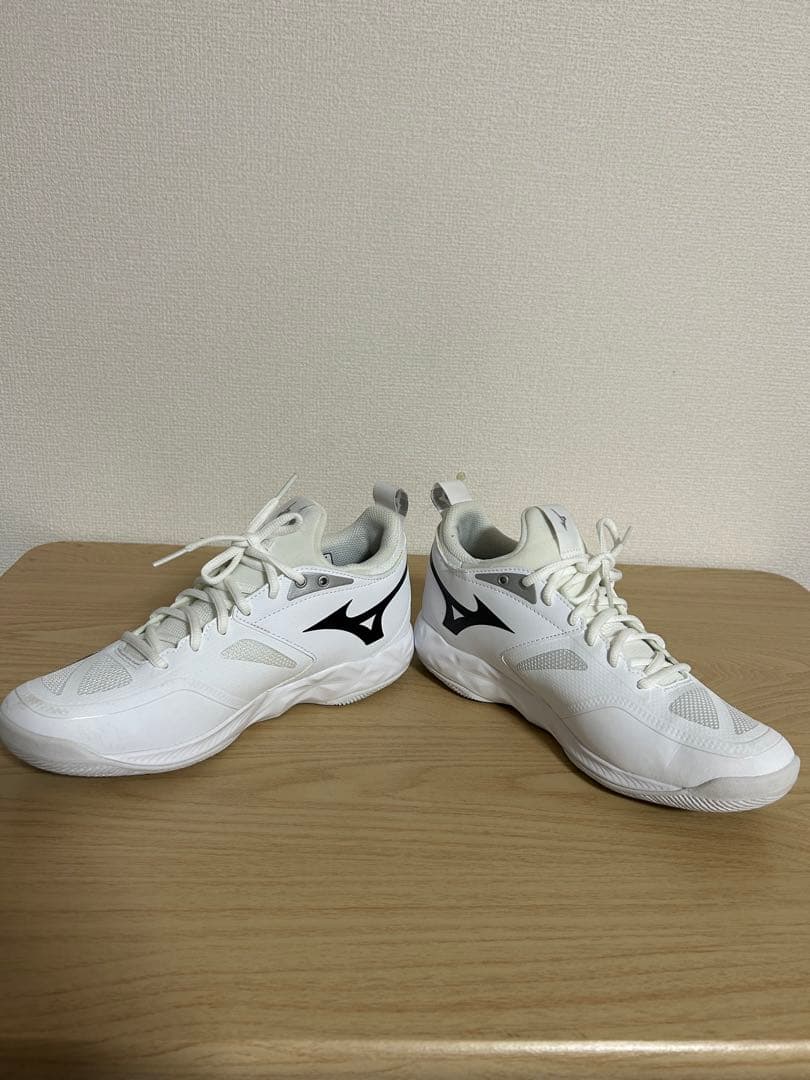 ミズノ　Mizuno バレーボール シューズ ホワイト