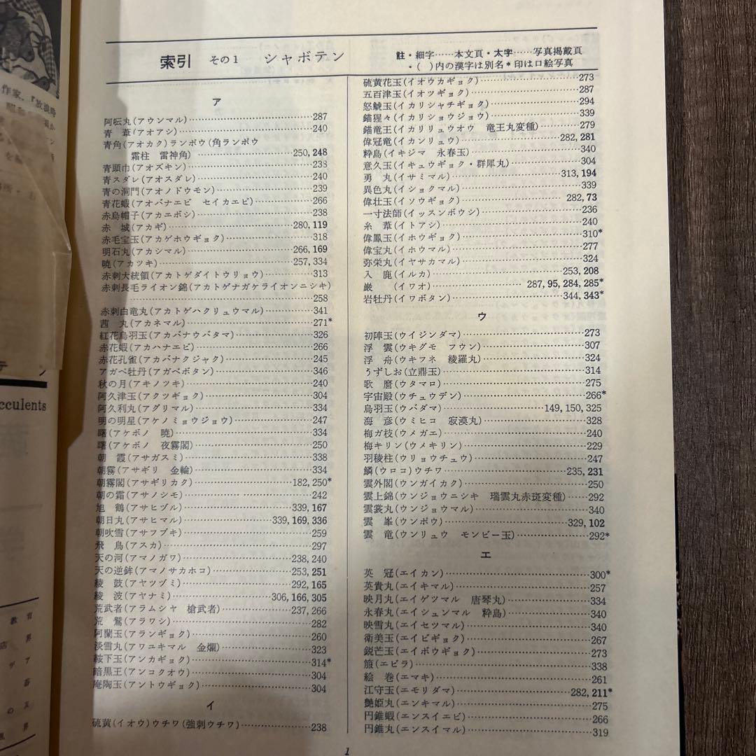 シャボテン Cacti & Succulents 誠文堂新光社