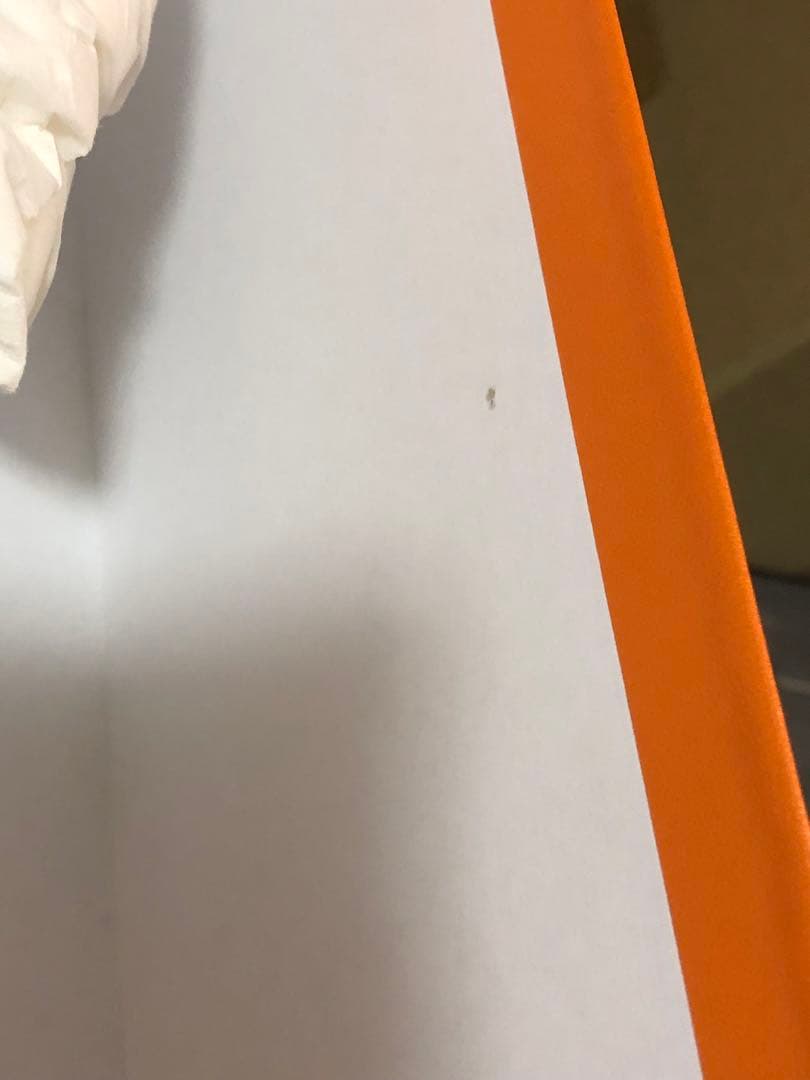 エルメス　シューズ空箱　保存袋　付属品　ポリード27対応　オレンジボックス080