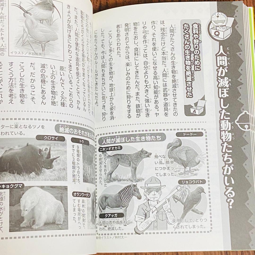 Y3ドラえもん科学ワールド　社会ワールド　漫画　学習シリーズ　お金のひみつ