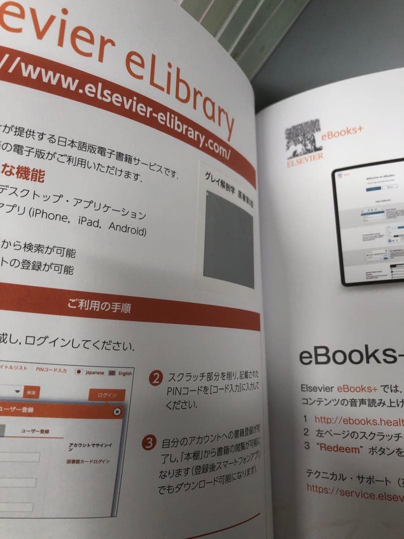 グレイ解剖学　第5版