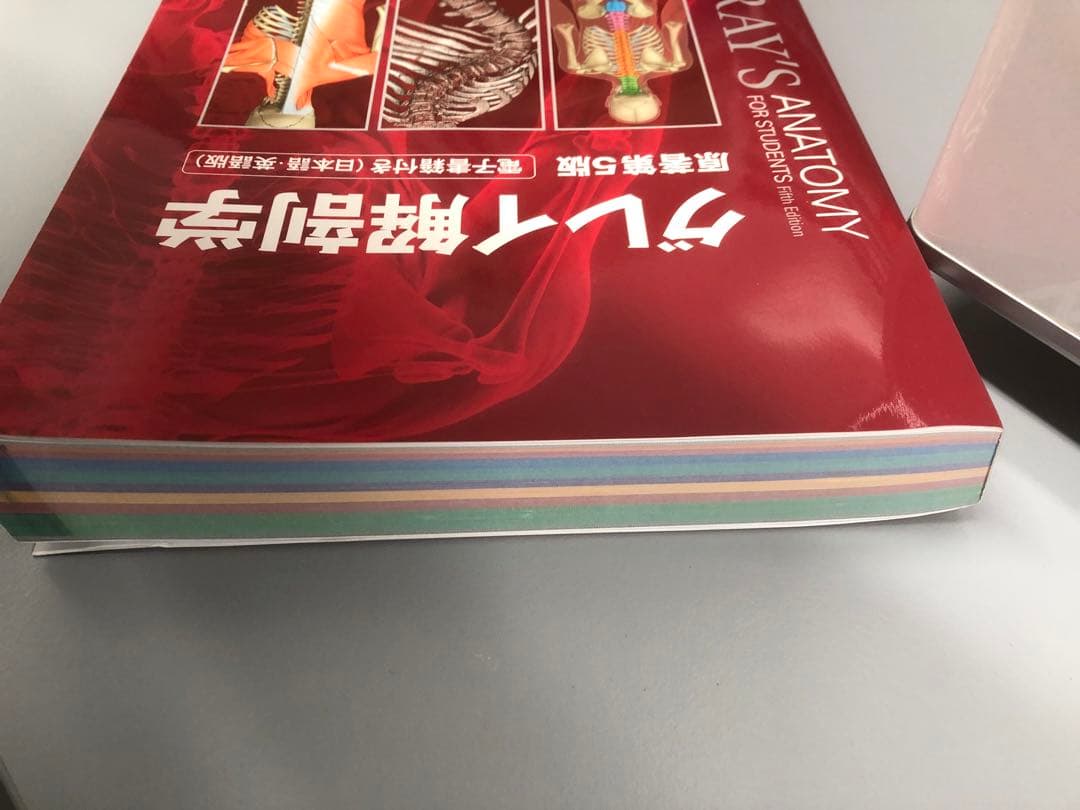 グレイ解剖学　第5版