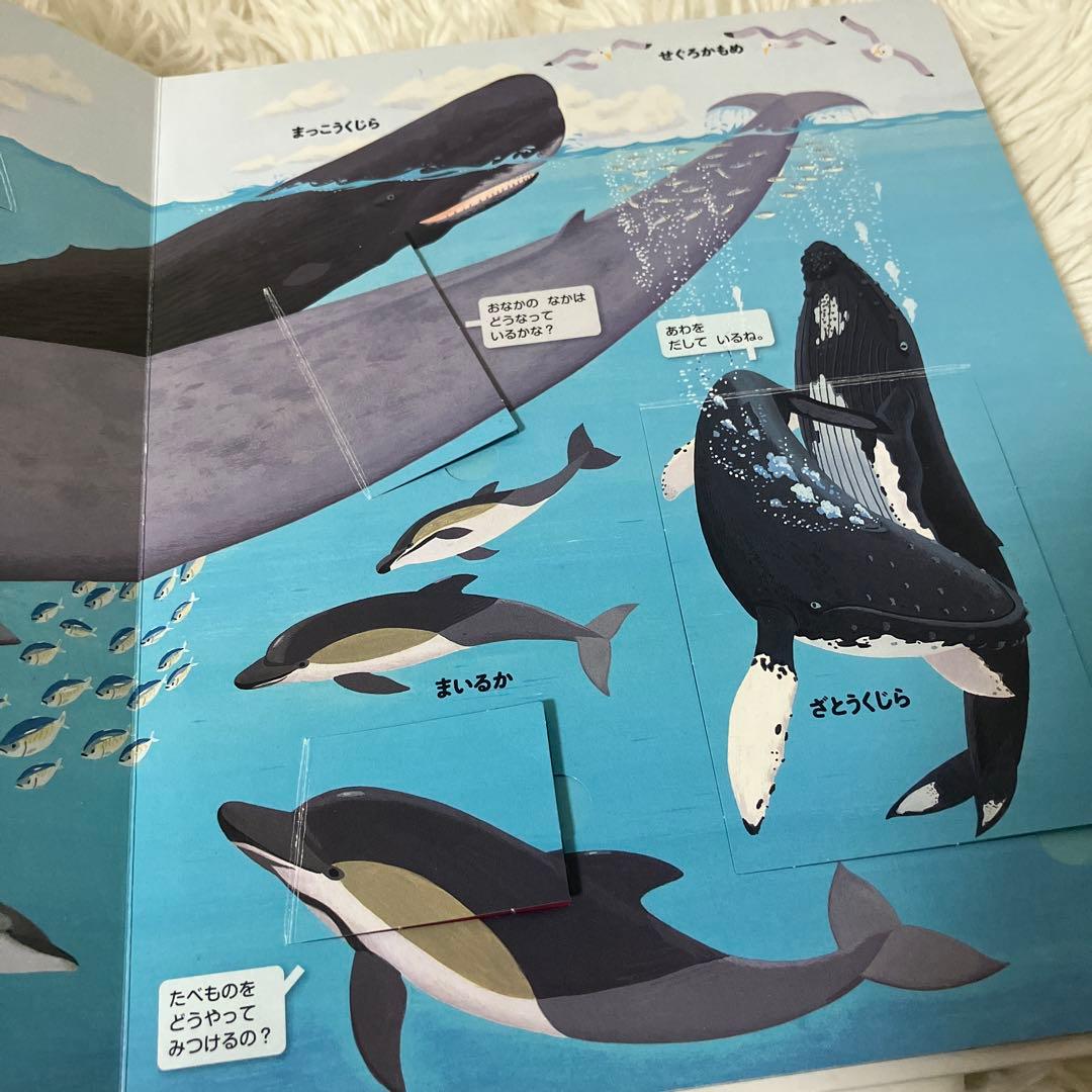 よのなかの図鑑　げんきの図鑑　せいかつの図鑑　小学館の子ども図鑑　プレ　neo