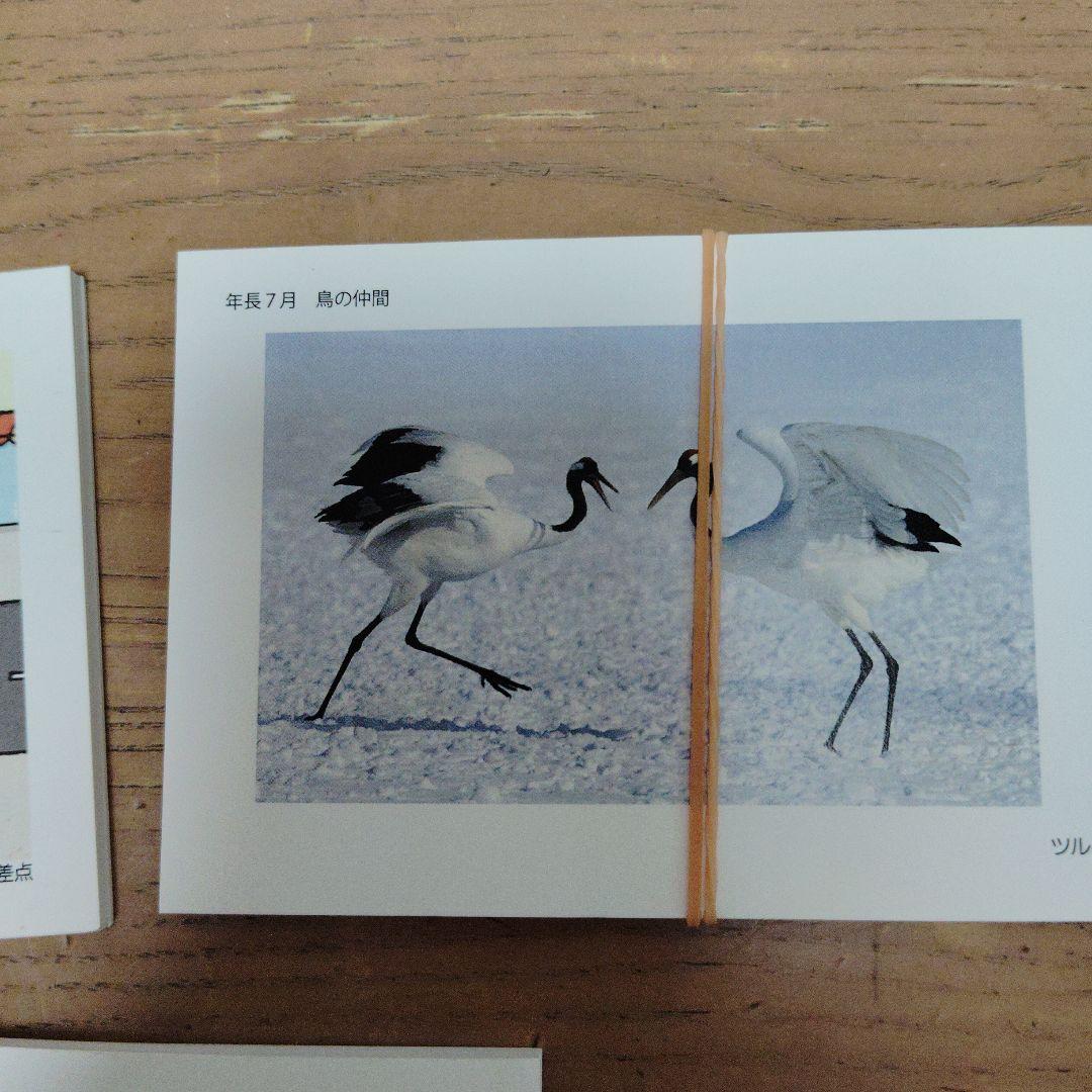 2023年度 理英会　小学校受験年長授業　4月、7月、8月、9月、10月分