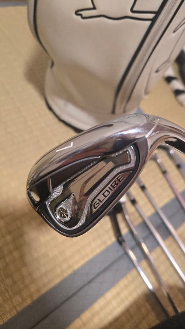 【中古】レディースクラブセット 12本