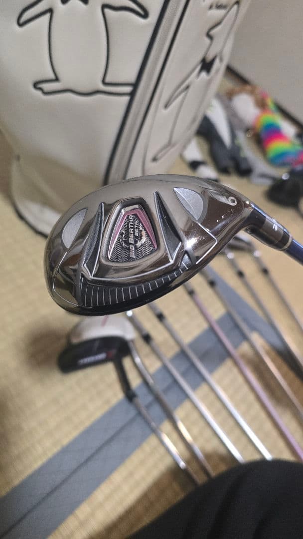 【中古】レディースクラブセット 12本