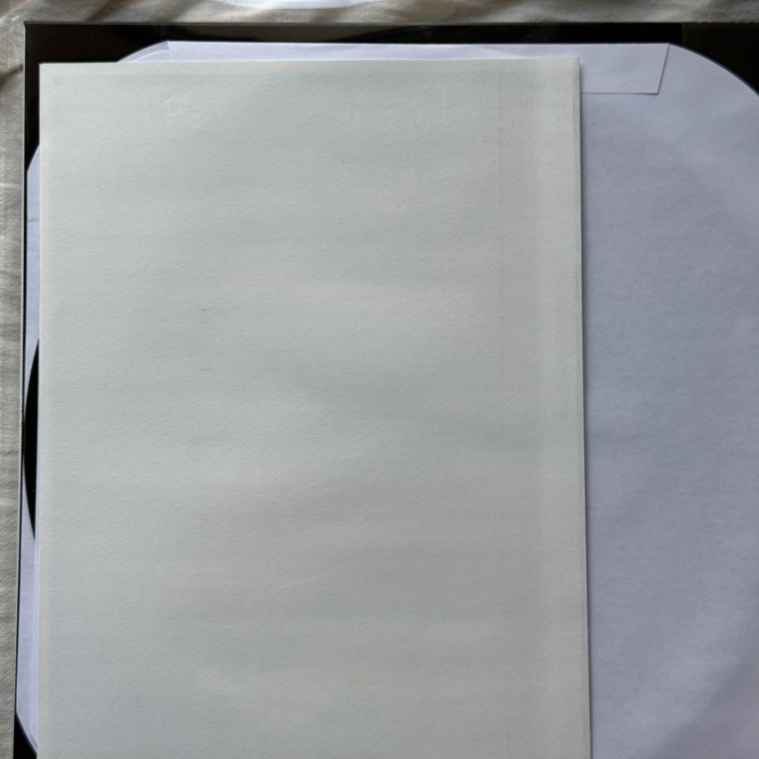 【限定盤】GEESE - LIVE AT THIRD MAN RECORDS