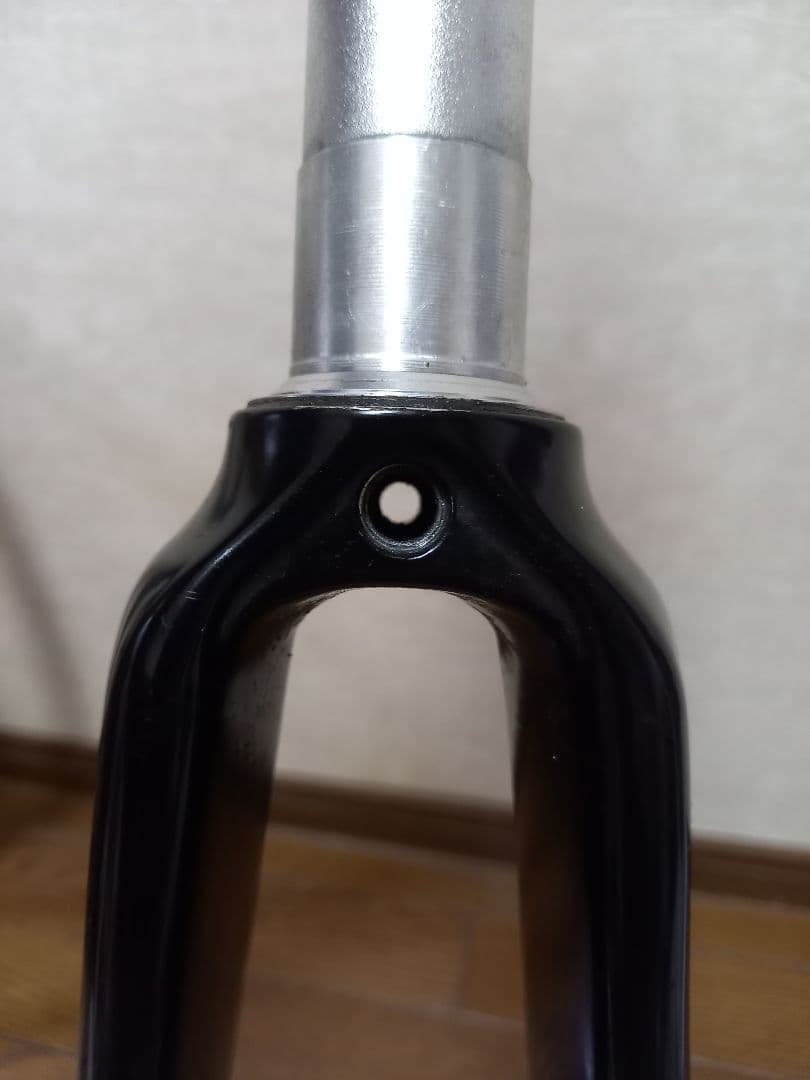 アルピナ　Alpina Full Carbon Road Fork　ピスト
