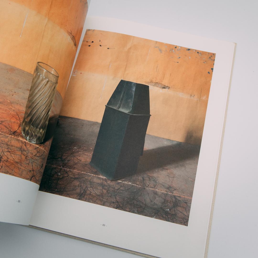 アート・デザイン・音楽 Joel Meyerowitz: Morandi's Objects