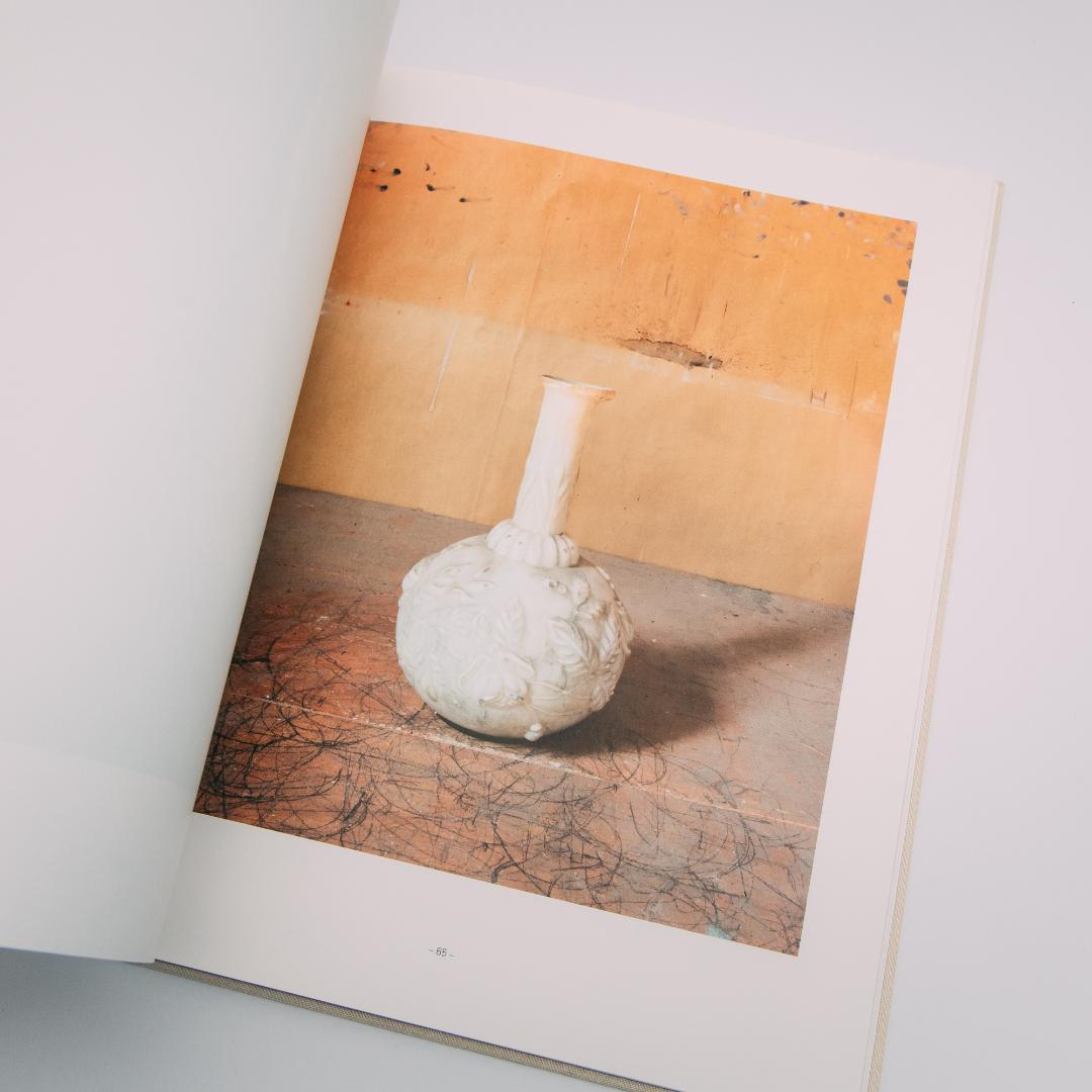 アート・デザイン・音楽 Joel Meyerowitz: Morandi's Objects