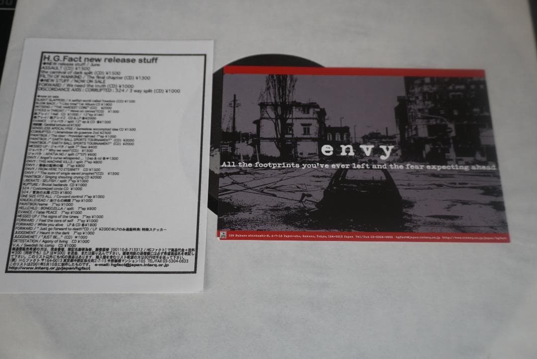 A*9様 ENVY/エンヴィー 　アナログレコード２枚セット