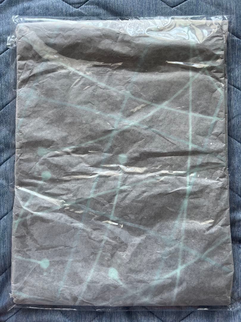 【未開封品】 2025 インテル CW アカデミープロ プレマッチシャツ XL