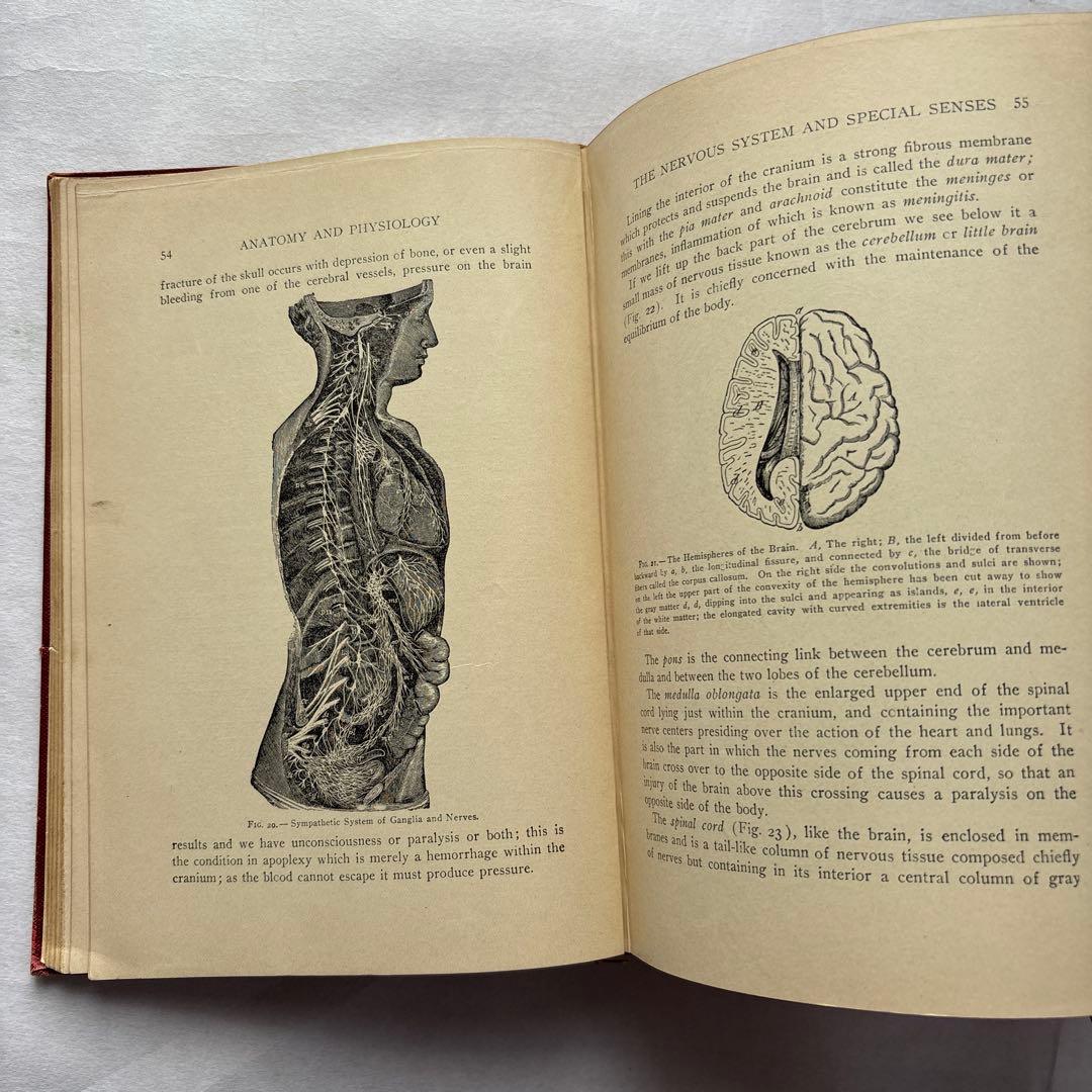 【洋書・軍事】米国陸軍、海軍衛生部隊、州兵、海軍民兵のための完全ハンドブック