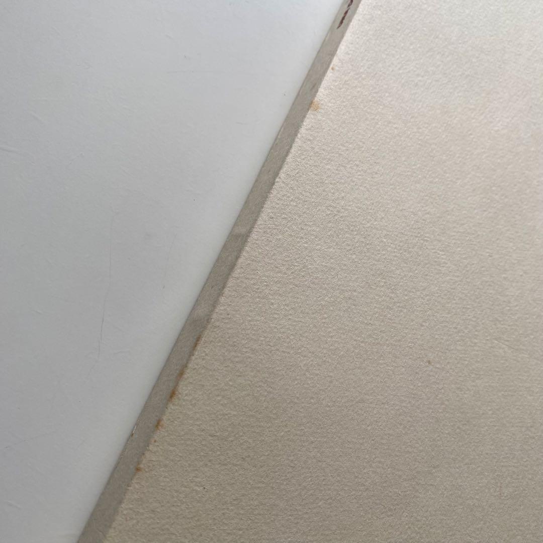 Una Donna Paolo Roversi パオロ・ロベルシ イタリア語版