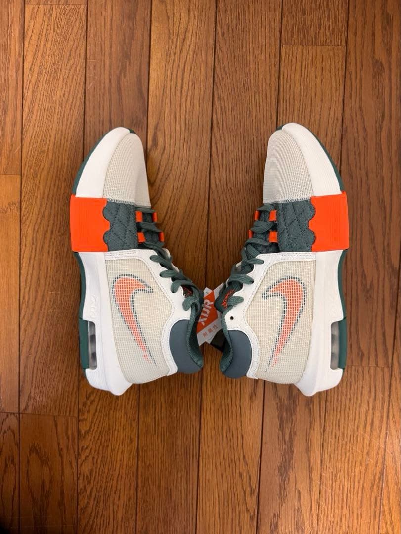 新品未使用　NIKE レブロン ウィットネス8 25.5cm