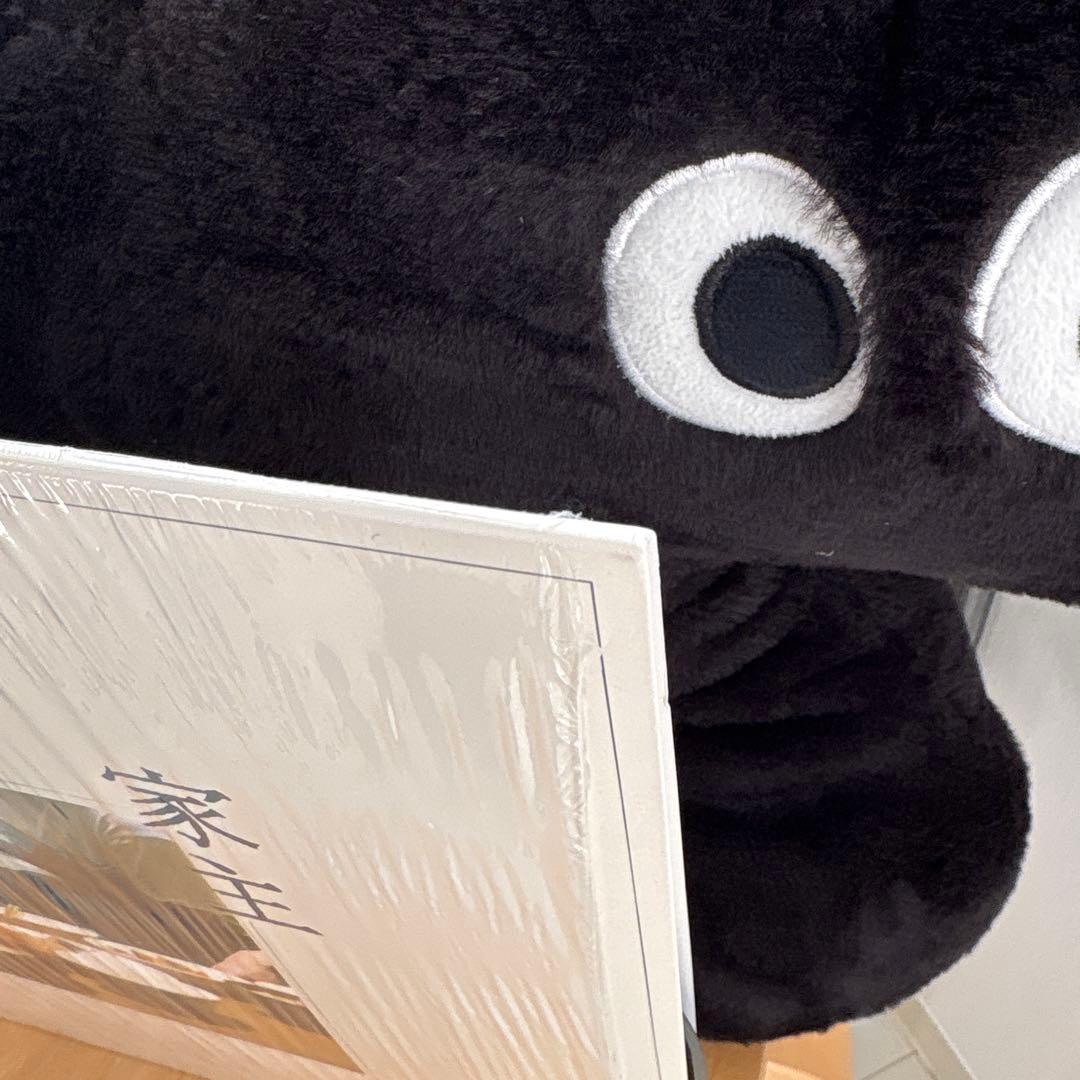 家主 生活の礎 アナログ レコード