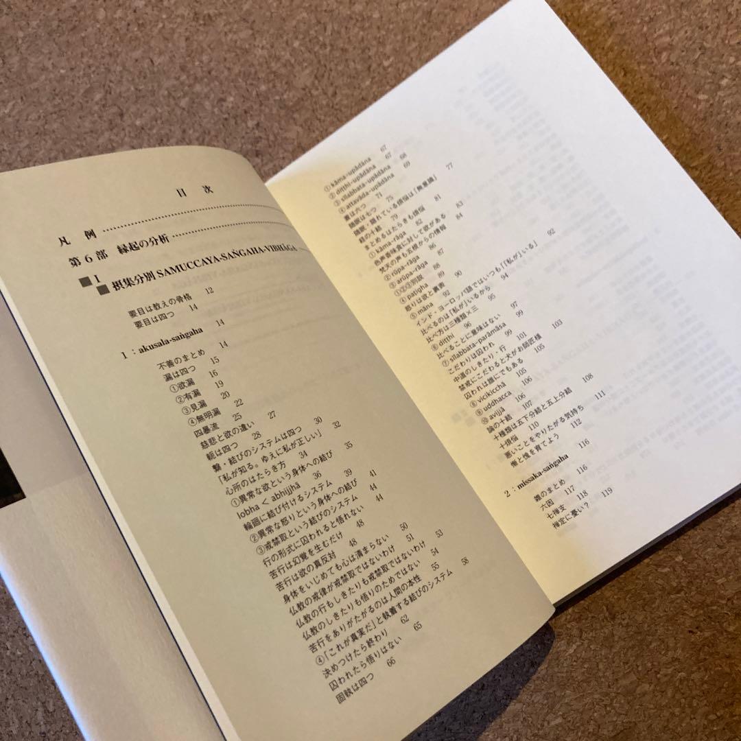 ブッダの実践心理学 第6巻 縁起の分析