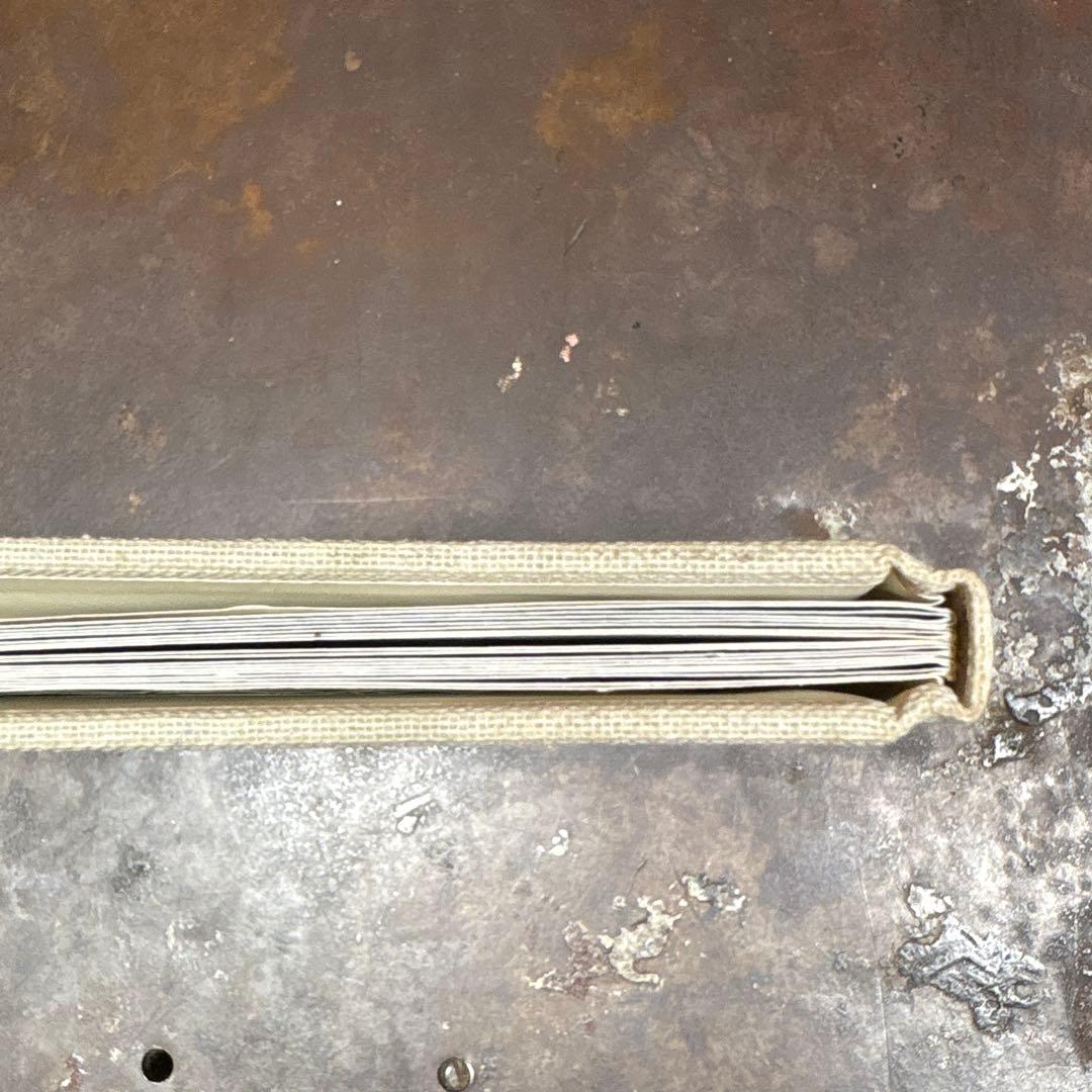 Sigur ros Hlemmur シガーロスリミテッド版 CD DVD