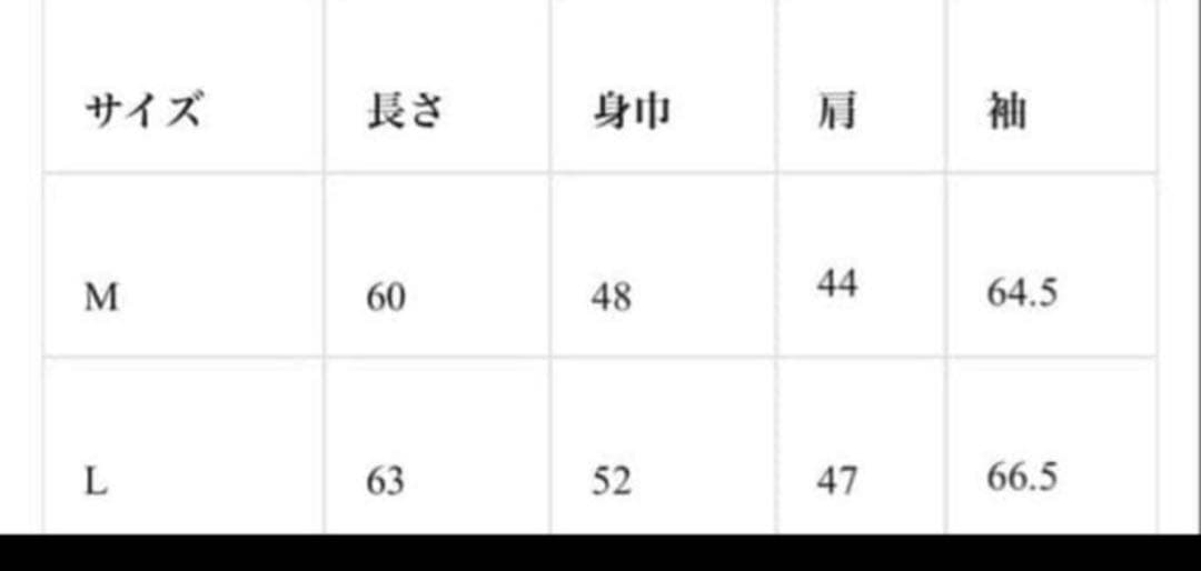 Jentlouis Leather Hooded Jacket（ Lサイズ）