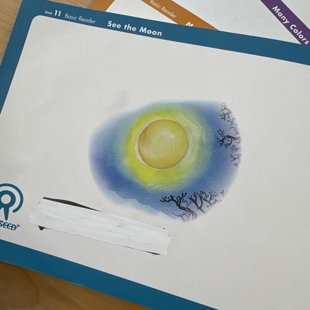 GrapeSEED グレープシード　1-14　子供向け英語学習教材　DVD CD