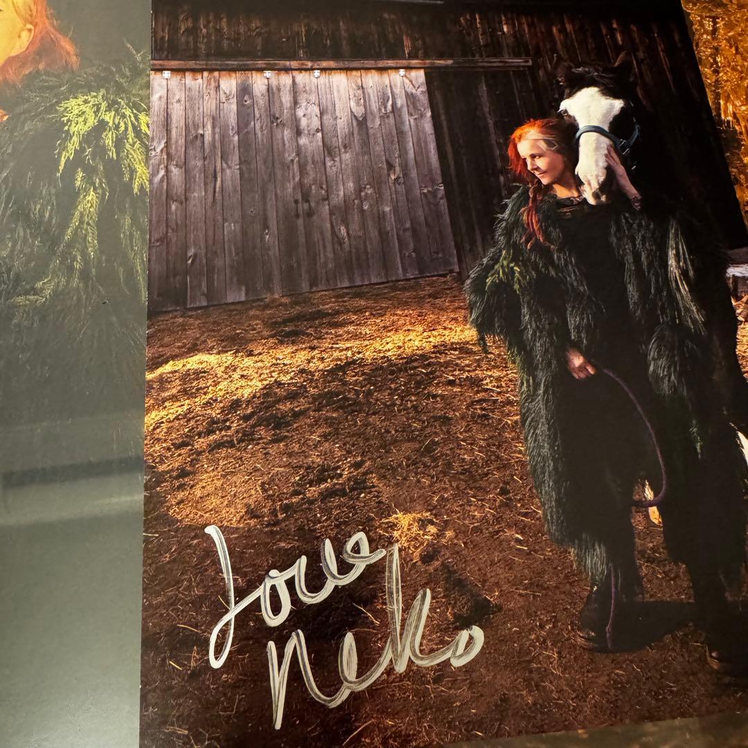 NEKO CASE NEON GREY MIDNIGHT GREEN 限定版