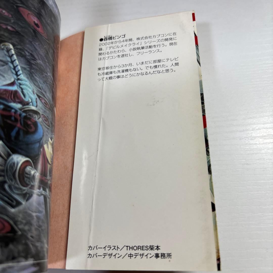 「デビルメイクライ4 -Deadly Fortune-」初版　　全2冊セット