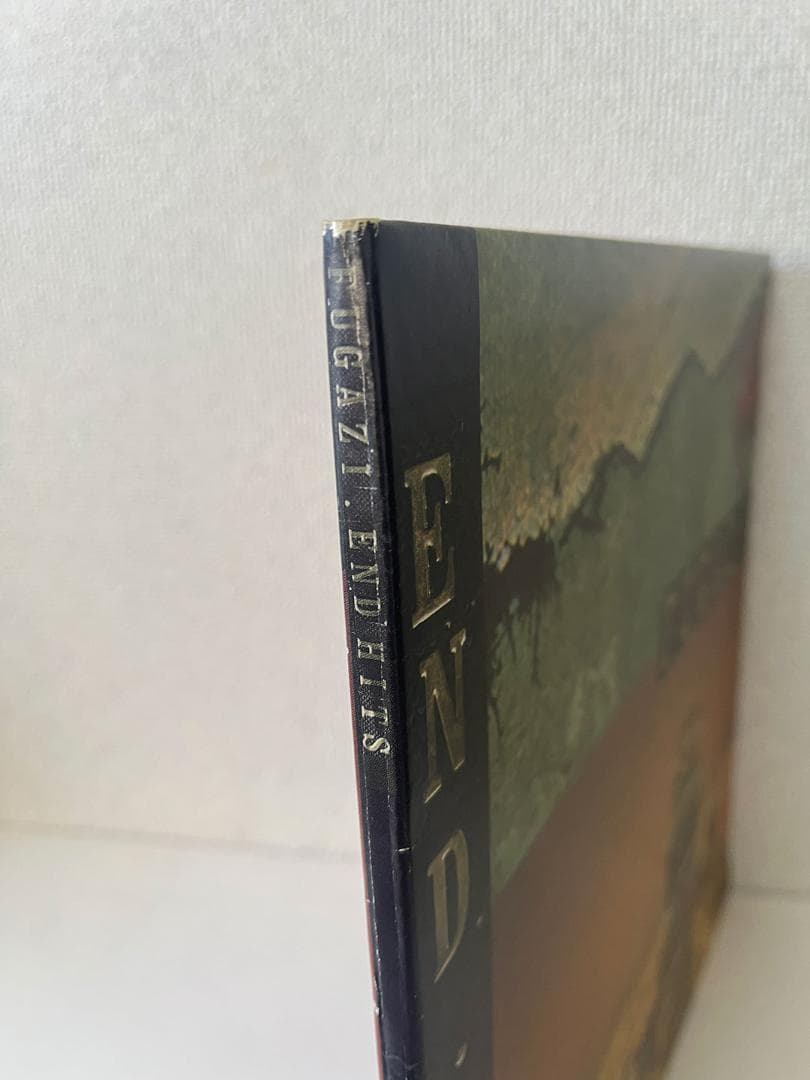 Fugazi / End Hits LP DIS110V グレービニール