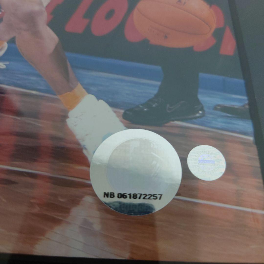 アイバーソンサイン写真