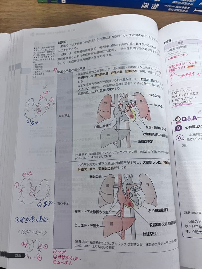 薬剤師国家試験対策参考集　111回　青本青問　9セット　改訂第15版　薬学ゼミ