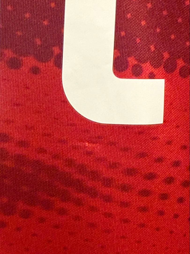 鹿島アントラーズ 2024 ユニフォーム 藤井選手 湘南ベルマーレ XLサイズ