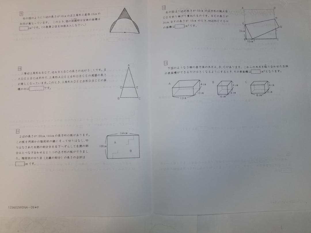 サピックス＊６年＊算数／土曜特訓プリント＊１７回＊灘 専用 （難関）＊２０２５年