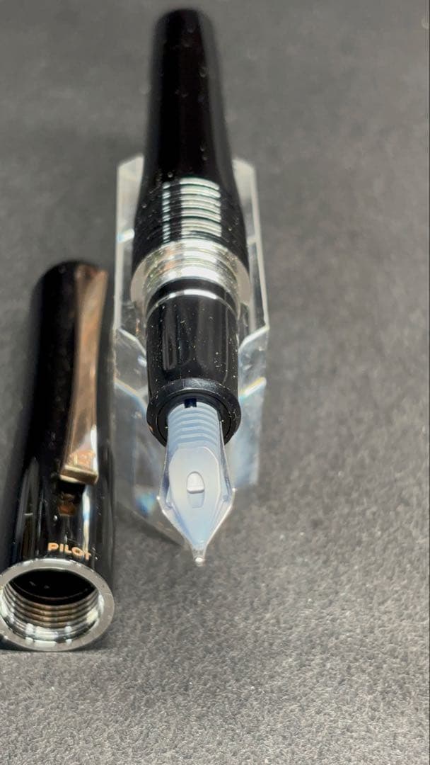 パイロット万年筆バンブー廃盤太字B