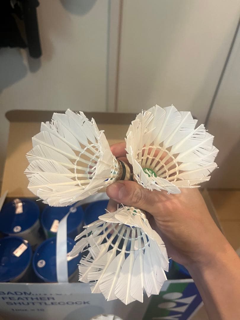 YONEX バドミントン フェザーシャトルコック 10個入り