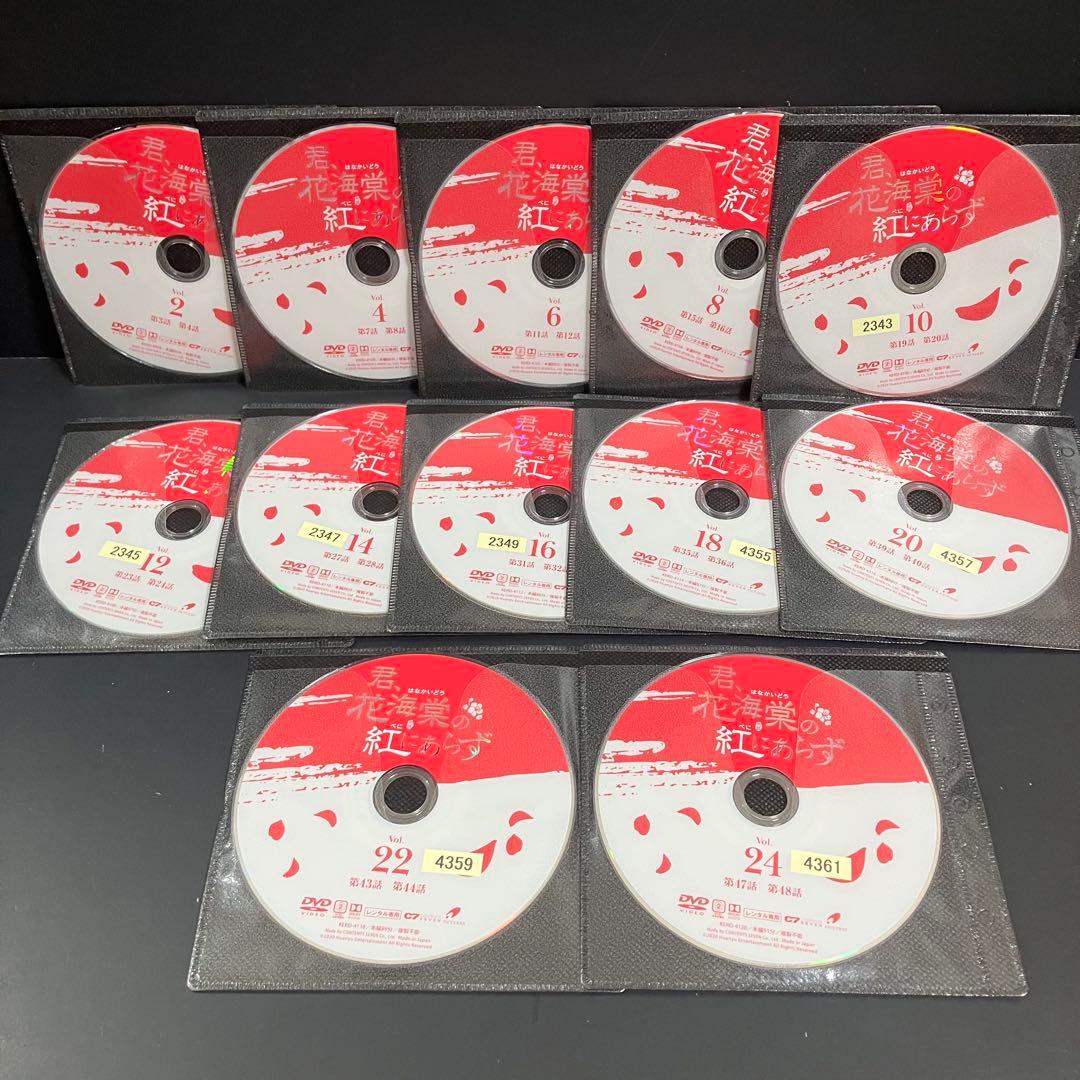 君,花海棠の紅にあらず レンタルDVD 中国ドラマ 全巻完結セット