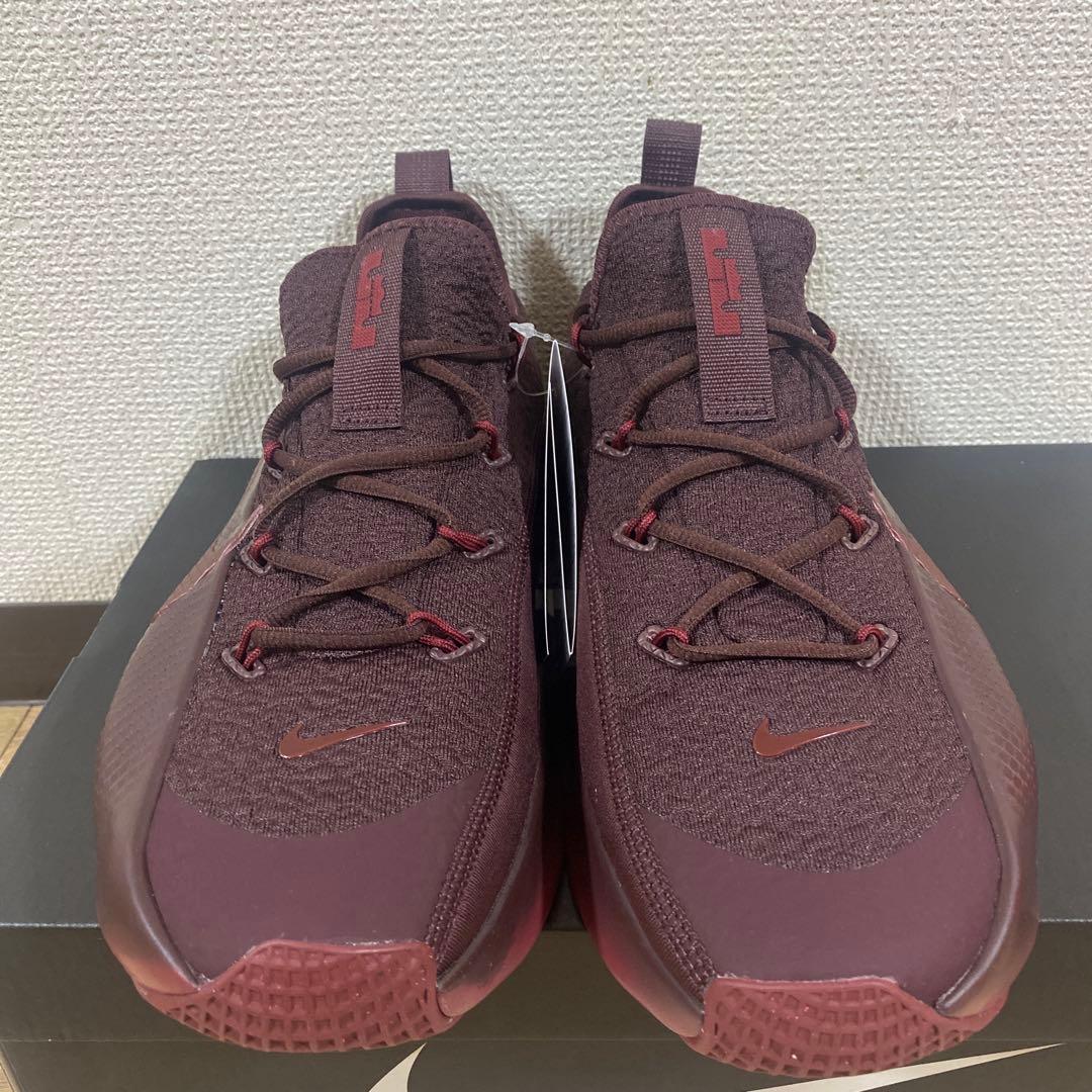 NIKE ナイキ LeBron レブロン TR1