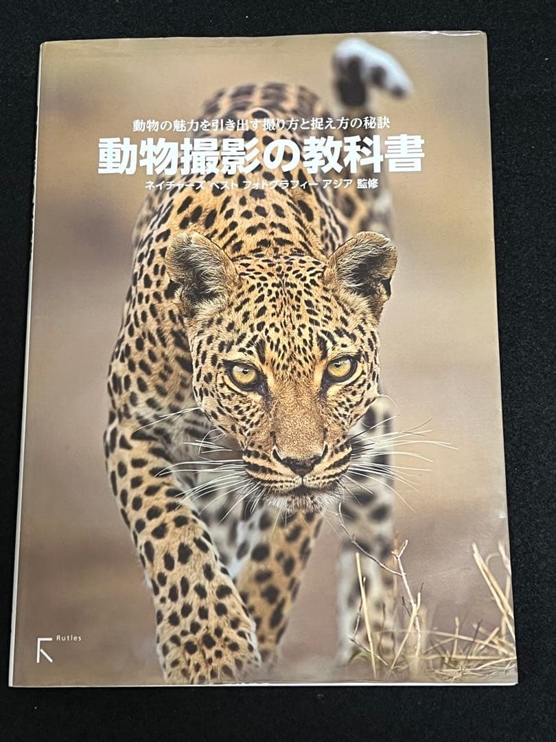 写真集 9冊 まとめ売り ナショジオ ニコン 動物写真集 野鳥 野生動物